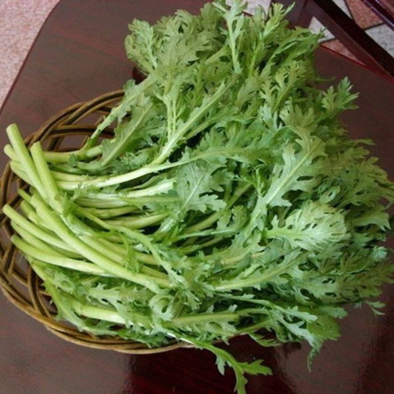 小叶茼蒿种子大全农家大叶茼蒿种籽菜籽四季皇帝菜种青菜蔬菜