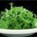 小叶茼蒿种子大全农家大叶茼蒿种籽菜籽四季皇帝菜种青菜蔬菜