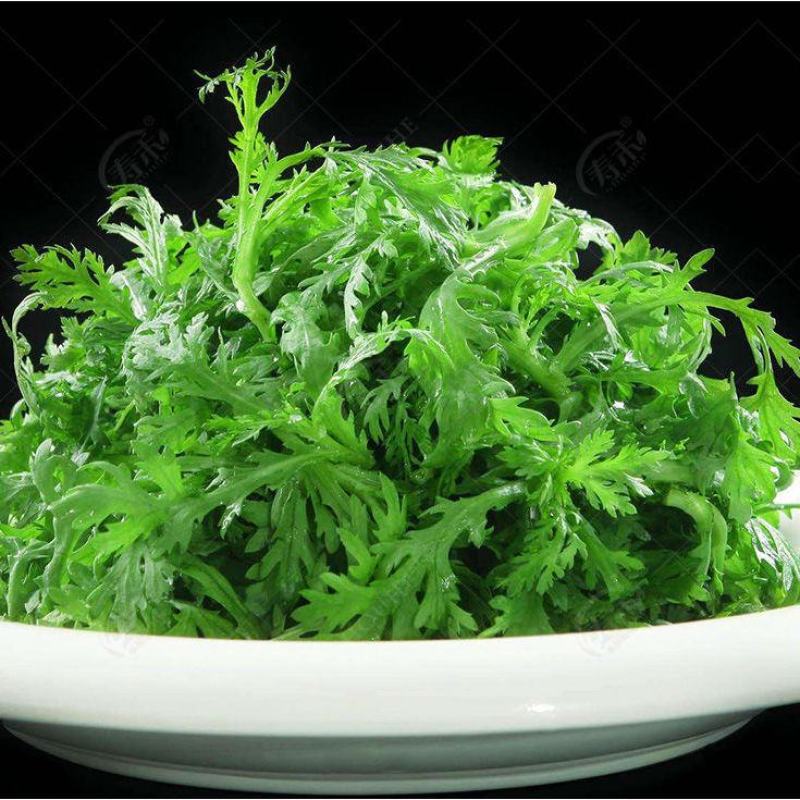 小叶茼蒿种子大全农家大叶茼蒿种籽菜籽四季皇帝菜种青菜蔬菜