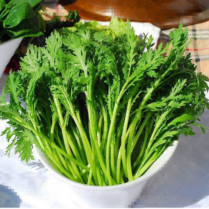 小叶茼蒿种子大全农家大叶茼蒿种籽菜籽四季皇帝菜种青菜蔬菜