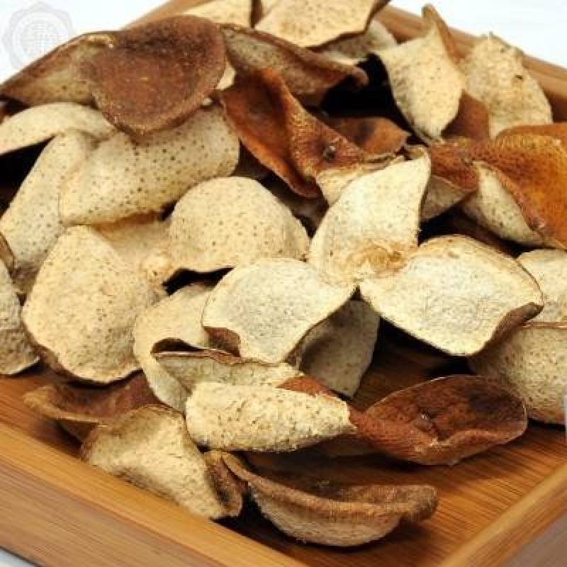 新会柑苗陈皮苗茶果苗四会柑果树苗
