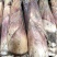 竹笋新鲜竹笋大山深处的生态食品产地直销