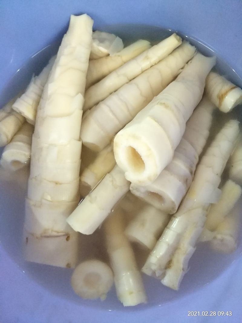 竹笋新鲜竹笋大山深处的生态食品产地直销