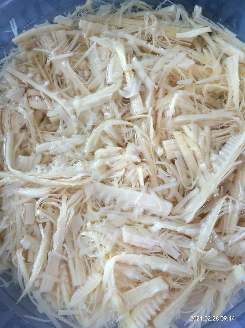 竹笋新鲜竹笋大山深处的生态食品产地直销