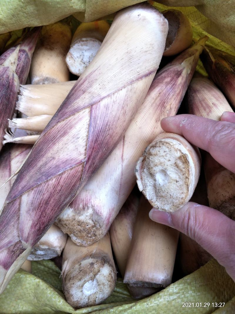 竹笋新鲜竹笋大山深处的生态食品产地直销