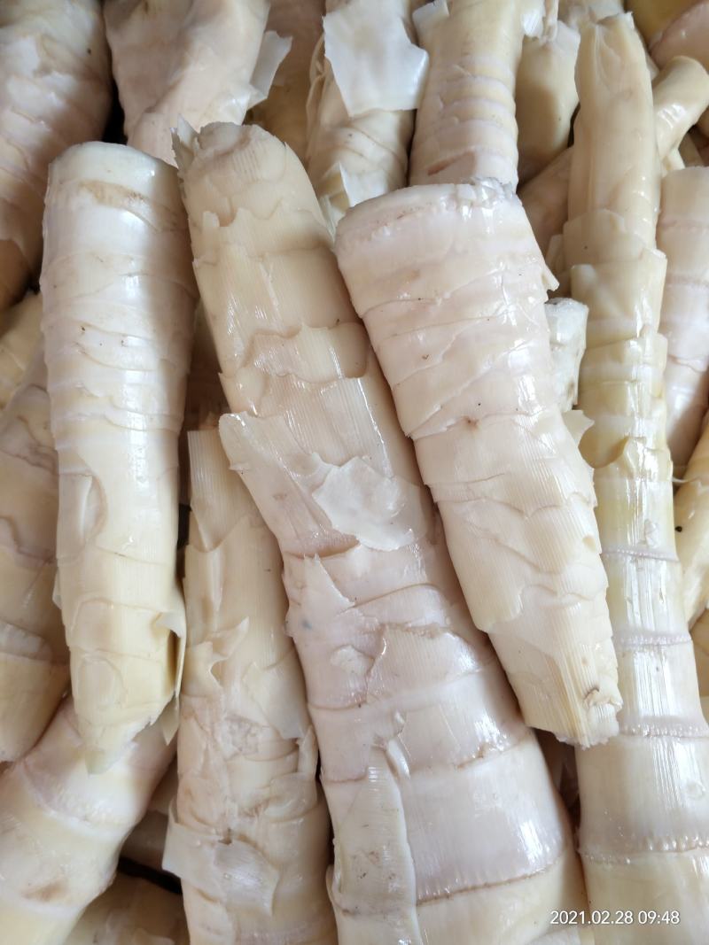 竹笋新鲜竹笋大山深处的生态食品产地直销