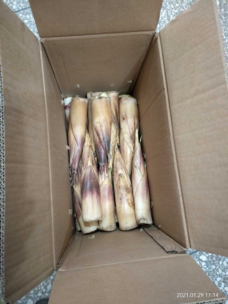 竹笋新鲜竹笋大山深处的生态食品产地直销
