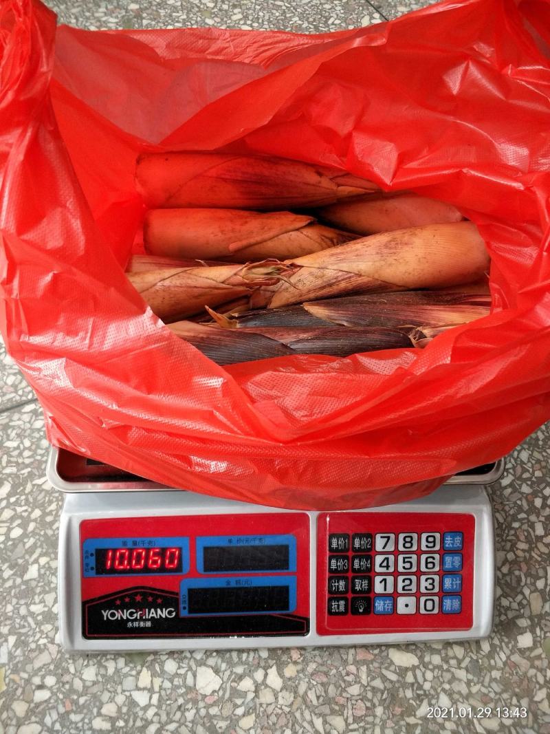 竹笋新鲜竹笋大山深处的生态食品产地直销