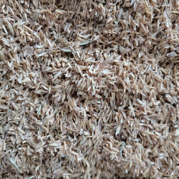 新鲜干净无杂质压缩稻壳