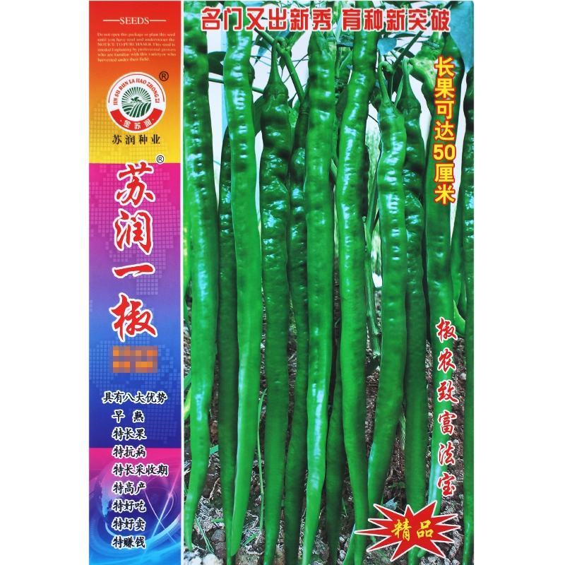 苏润一椒辣椒种子，苏润一椒辣椒种子，苏润一椒辣椒种子