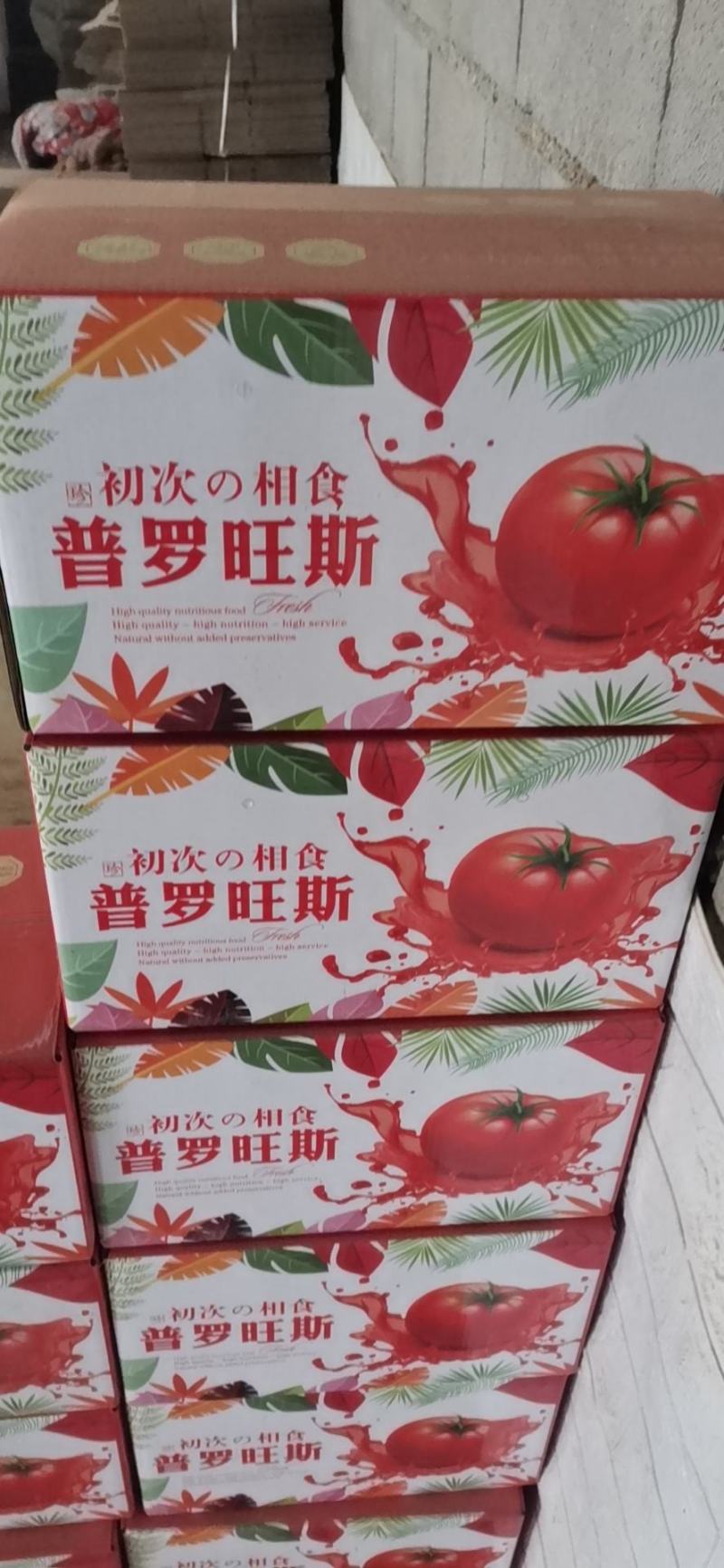 山东海阳普罗旺斯西红柿，落地配，社团，产地直发，一级代办