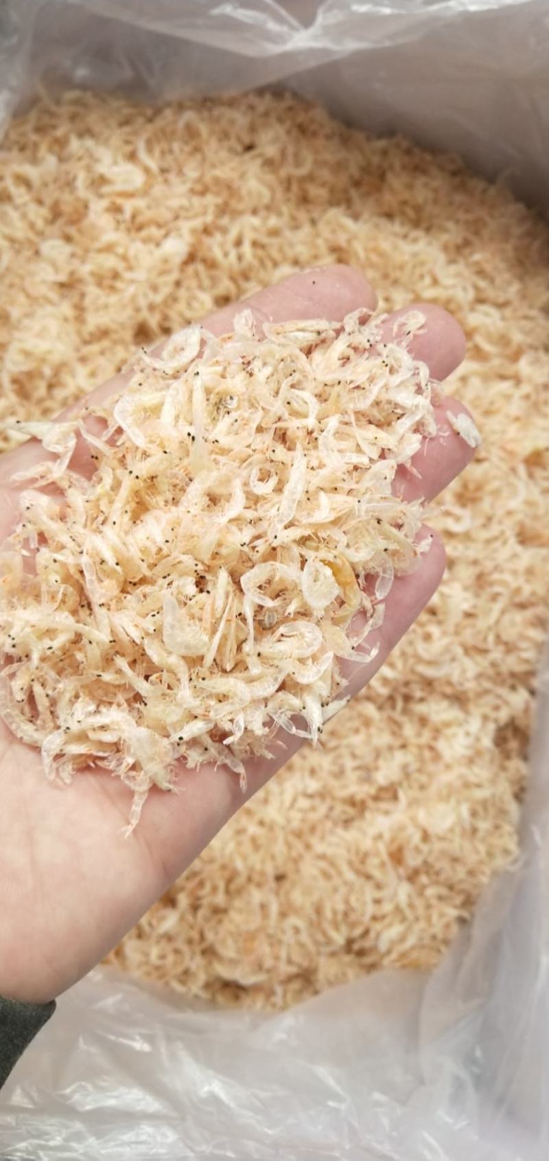 新鲜越南淡干虾皮批发