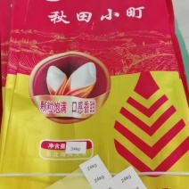 秋田小町新米无掺加