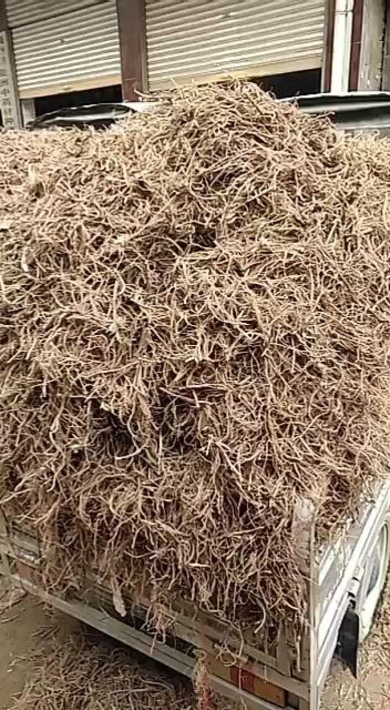 紫软一年或两年药材植物投资小效益高提供技术包回收