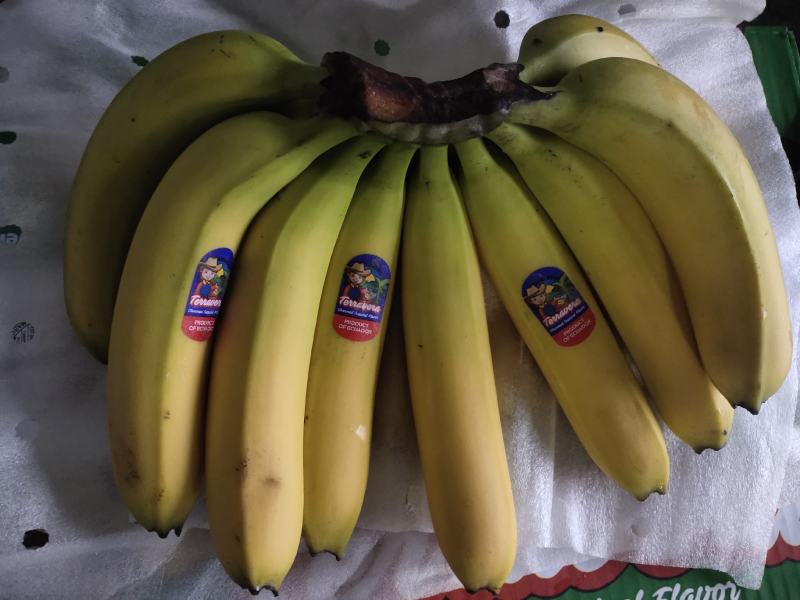 香蕉口感糯甜，精品特价