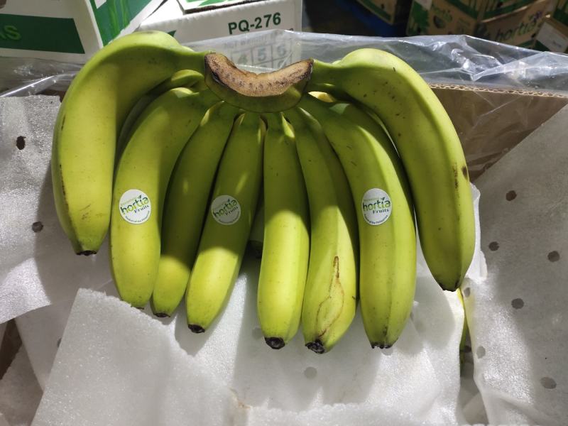 香蕉口感糯甜，精品特价
