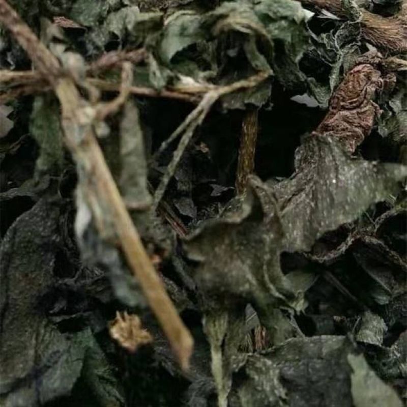 旱莲草中药材野生墨旱莲黑墨草墨斗草干货5克