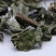 旱莲草中药材野生墨旱莲黑墨草墨斗草干货5克