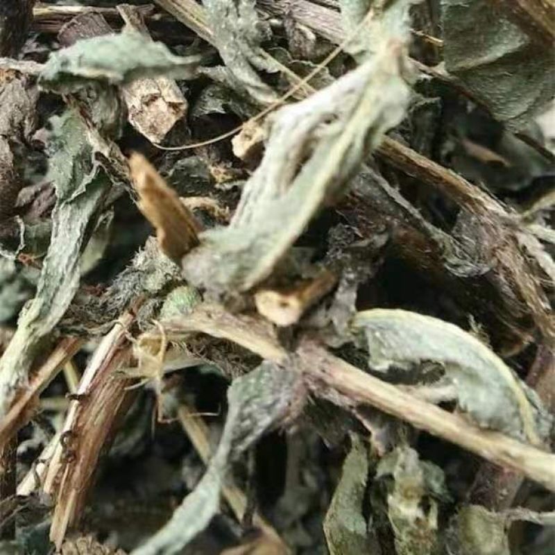 旱莲草中药材野生墨旱莲黑墨草墨斗草干货5克