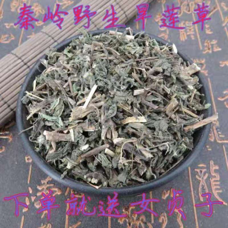 旱莲草中药材野生墨旱莲黑墨草墨斗草干货5克