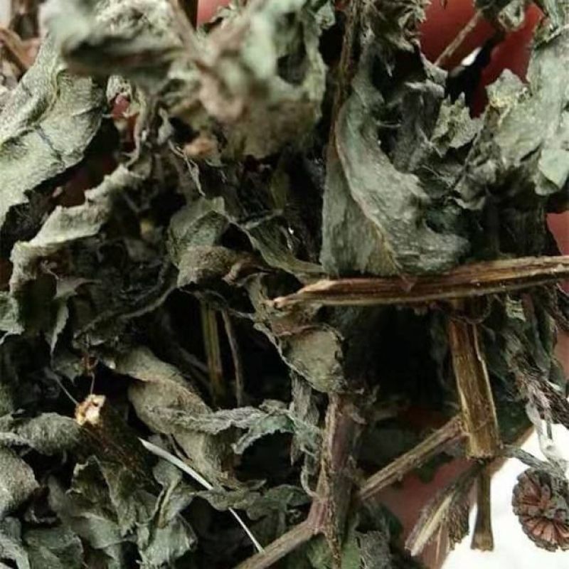 旱莲草中药材野生墨旱莲黑墨草墨斗草干货5克