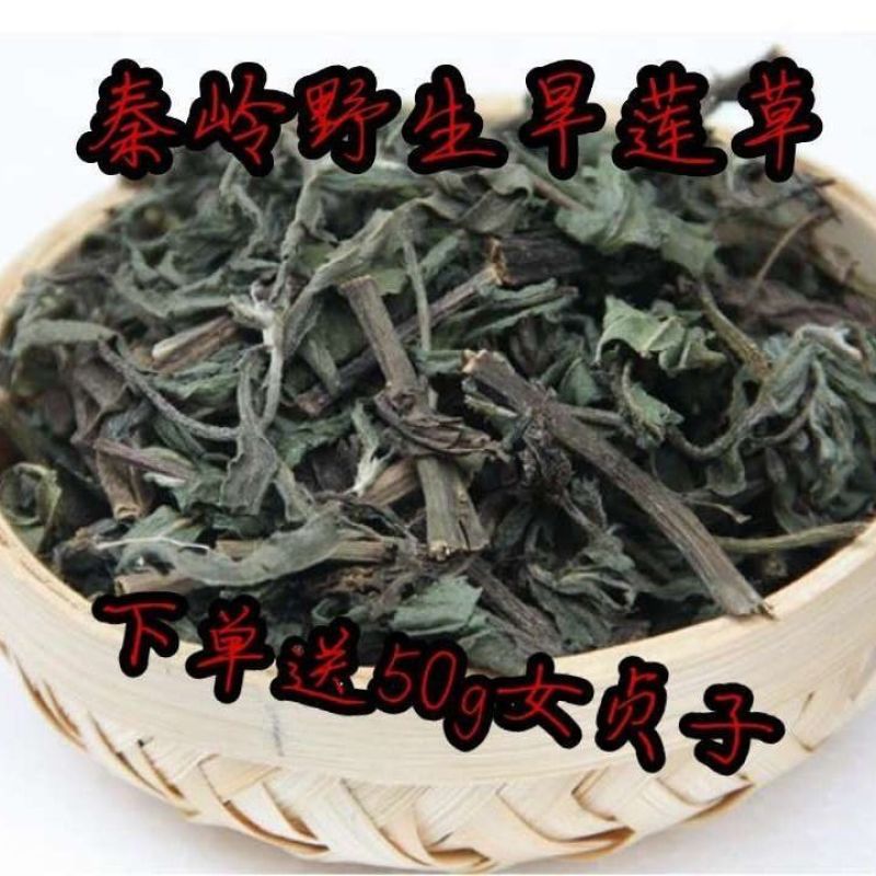 旱莲草中药材野生墨旱莲黑墨草墨斗草干货5克
