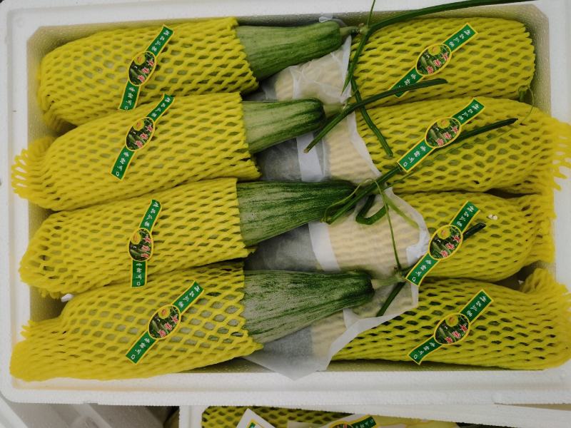 产地直供精品羊角蜜甜瓜！