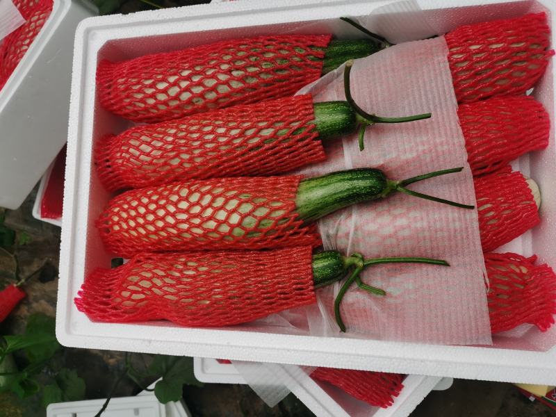 产地直供精品羊角蜜甜瓜！