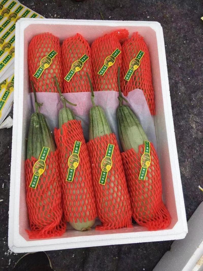产地直供精品羊角蜜甜瓜！