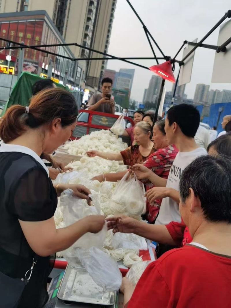 土豆圈圈粉跑江湖展会早市热卖产品厂家一手货源