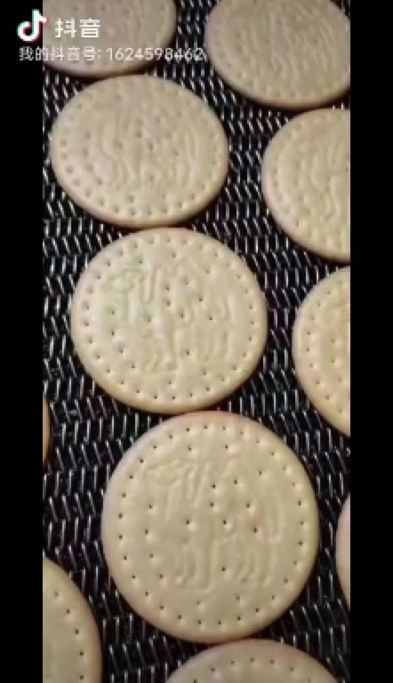 新疆驼奶饼干粗粮饼干老人小孩可口零食营养美味