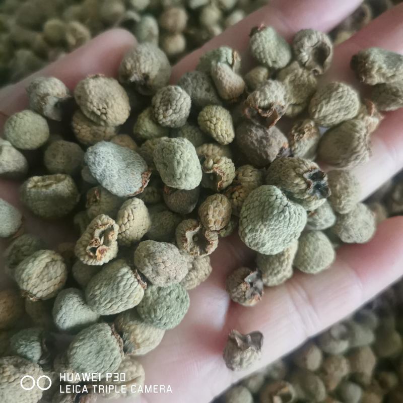 覆盆子浙江覆盆子包邮发货批发零售干货