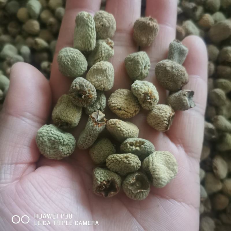 覆盆子浙江覆盆子包邮发货批发零售干货