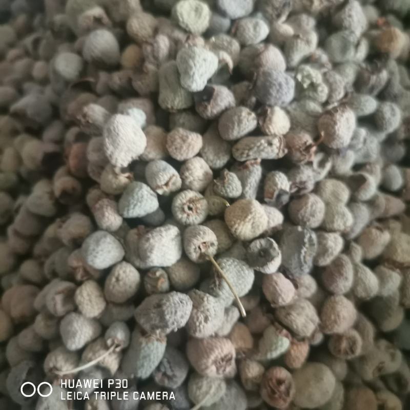 覆盆子浙江覆盆子包邮发货批发零售干货