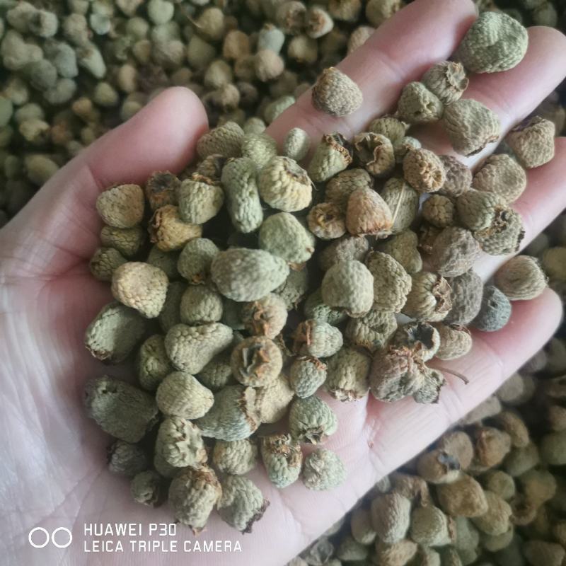 覆盆子浙江覆盆子包邮发货批发零售干货