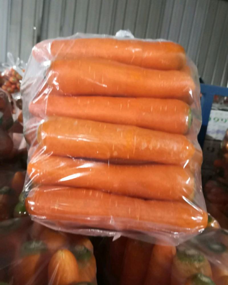 开封县通许胡萝卜长年有货产地发货一手货源品质保证