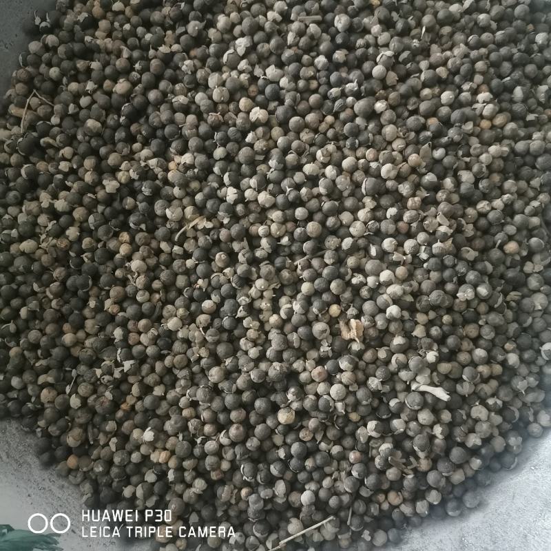 蔓荆子江西蔓荆子包邮发货保证质量一手货源