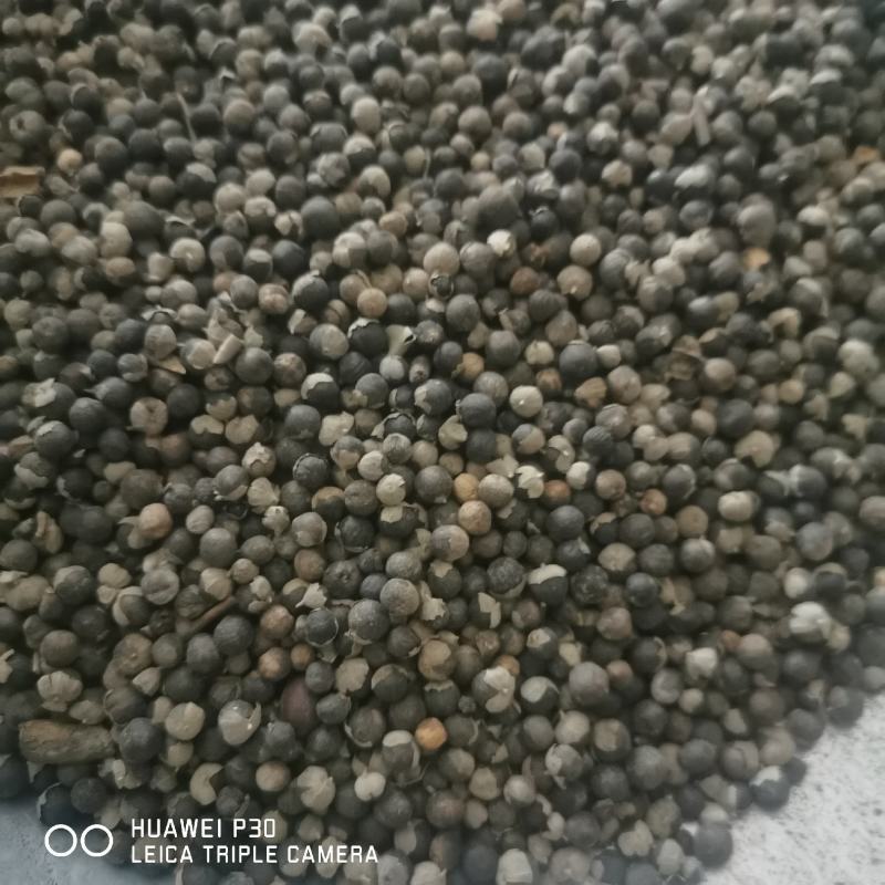 蔓荆子江西蔓荆子包邮发货保证质量一手货源
