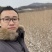 连翘苗东北连翘连翘二年墩绿化工程苗