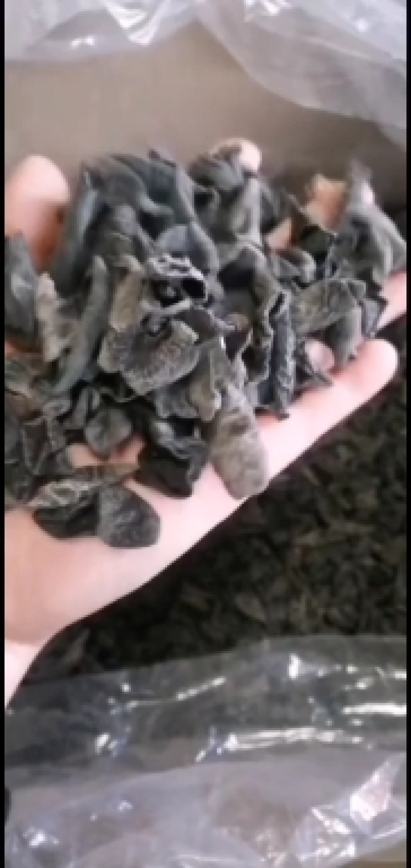 东北黑木耳圆厚小秋木耳口感好品质好产地直销