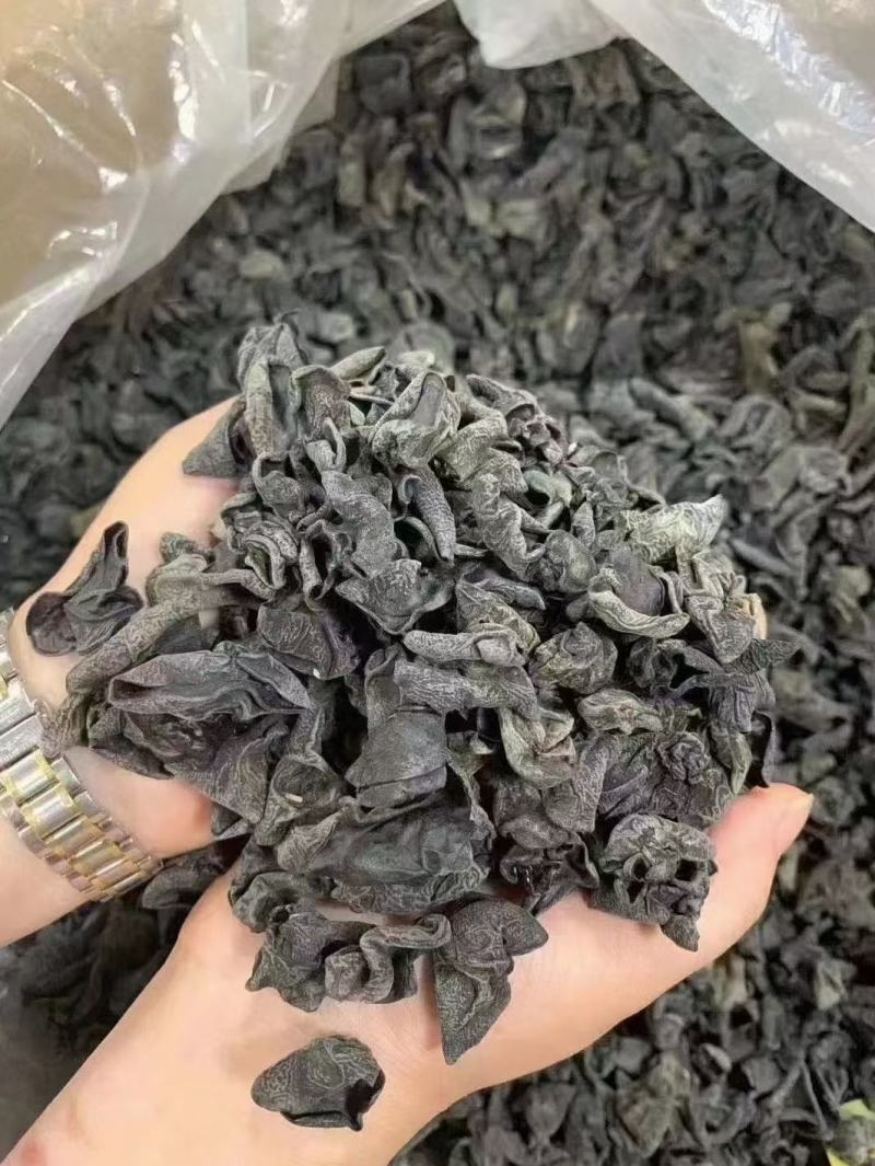 东北黑木耳圆厚小秋木耳口感好品质好产地直销