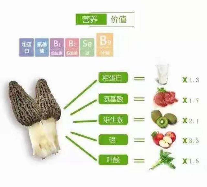新鲜的羊肚菌上市了，价格不高。还有风干的羊肚菌。