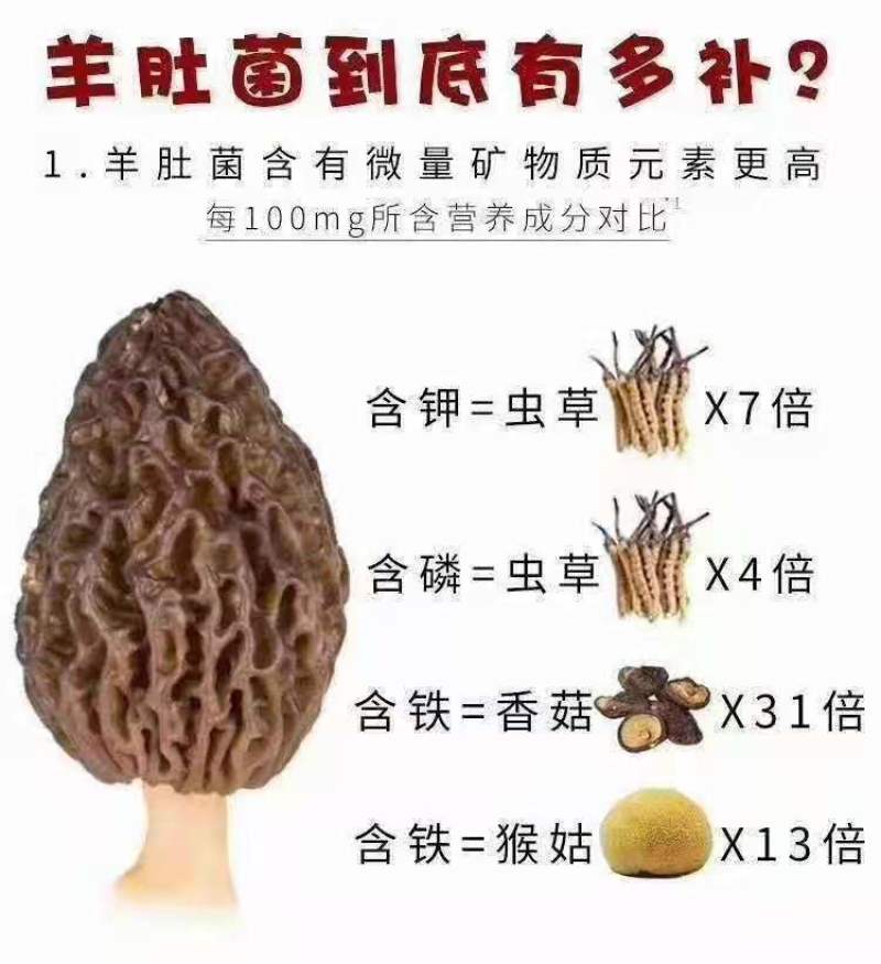 新鲜的羊肚菌上市了，价格不高。还有风干的羊肚菌。
