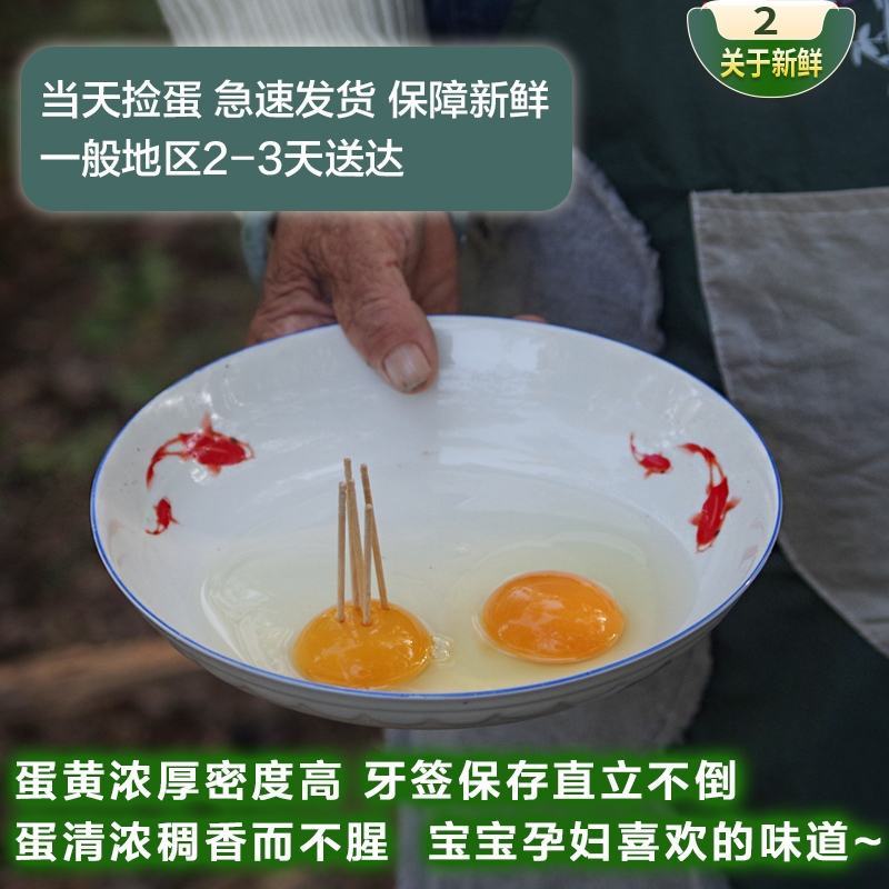 山东省临沂市平邑县黄草坡鸡蛋农家散养正宗笨鸡蛋新鲜草鸡蛋