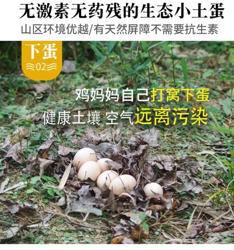 山东省临沂市平邑县黄草坡鸡蛋农家散养正宗笨鸡蛋新鲜草鸡蛋