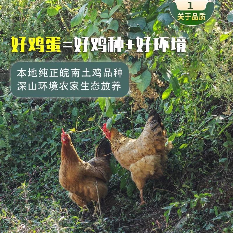 山东省临沂市平邑县黄草坡鸡蛋农家散养正宗笨鸡蛋新鲜草鸡蛋