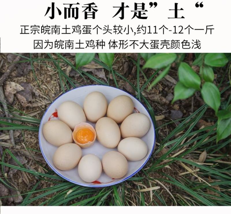 山东省临沂市平邑县黄草坡鸡蛋农家散养正宗笨鸡蛋新鲜草鸡蛋