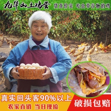 山东省临沂市平邑县黄草坡鸡蛋农家散养正宗笨鸡蛋新鲜草鸡蛋