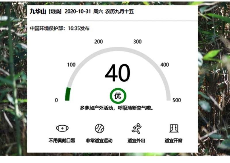 山东省临沂市平邑县黄草坡鸡蛋农家散养正宗笨鸡蛋新鲜草鸡蛋