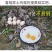 山东省临沂市平邑县黄草坡鸡蛋农家散养正宗笨鸡蛋新鲜草鸡蛋